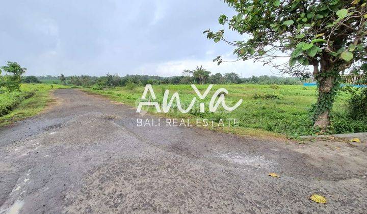 Land in Kedungu, Tabanan SHM 630 m² 2