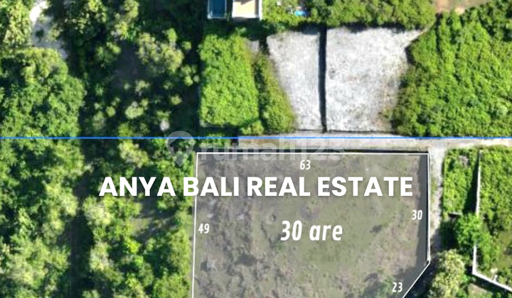 Tanah 30 Are Ocean View Dekat Pantai Pandawa Ungasan Bali Tanah 30 Are Ocean View Dekat Pantai Pandawa Ungasan Bali