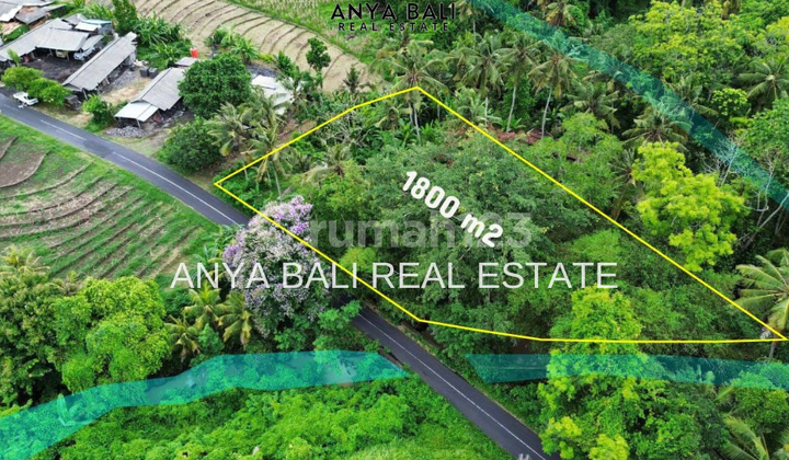 Tanah Dekat Pantai Beraban Selemadeg Tabanan Tanah Dekat Pantai Beraban Selemadeg Tabanan
