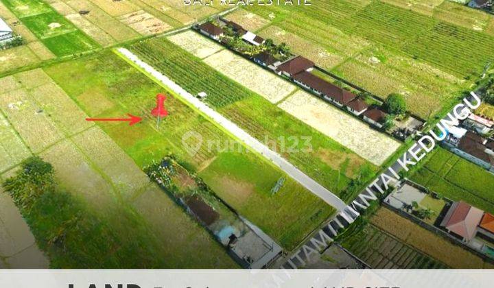 Tanah di Kedungu Tabanan, Sertifikat Hak Milik 695 m² 1