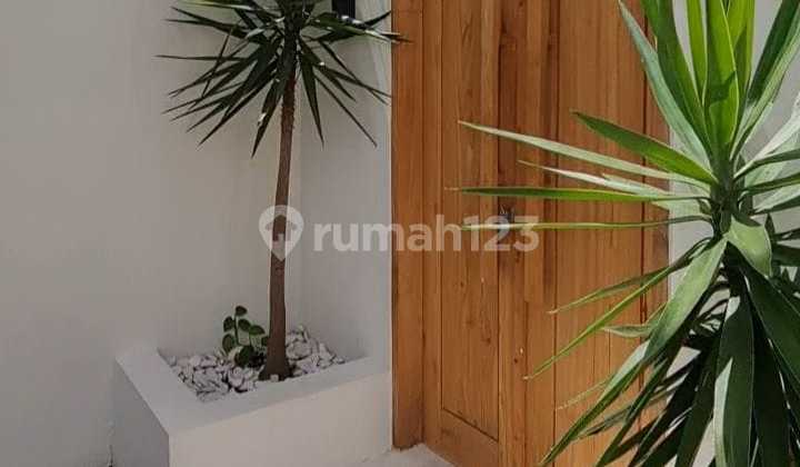 Brand New 2 Bedroom Villa Modern Furnished In Canggu Bali 2