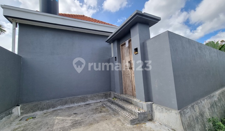 For Lease Minimum 3 Years Brand New Villa Unfurnished 2 Bedrooms In Padonan Close Canggu Bali