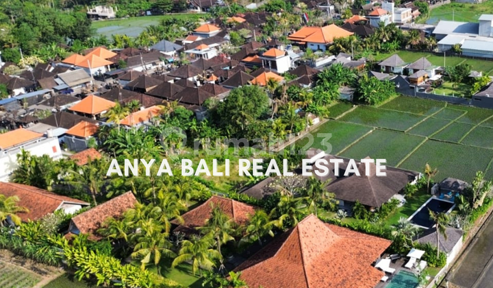Luxury Joglo Style Villa with Rice Field View in Nyanyi, Tabanan Bali