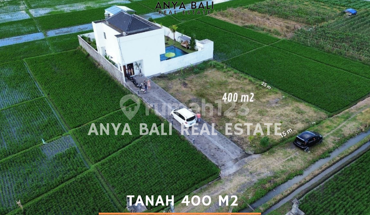 4 Are Land Near Beach View in Kelating Tabanan