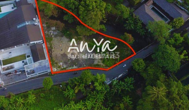 Tanah di Berawa, Canggu Sertifikat Hak Milik 1.000 m² 1