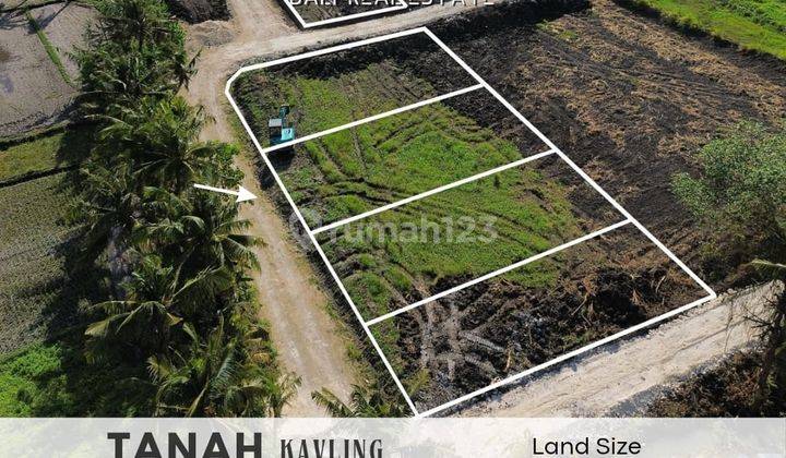 Land in Kedungu, Tabanan SHM 200 m² 1