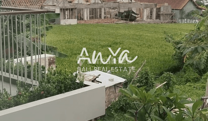 Land in Kayu Tulang, canggu Badung SHM 677 m² 2