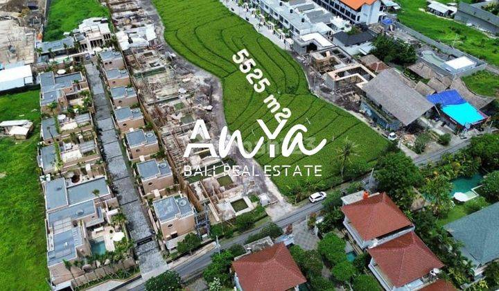 Leasehold Land 1136 M2 In Pererenan Canggu 2