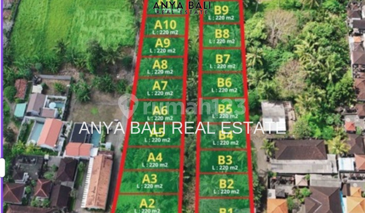 Tanah Kavling 2 Are di Mas Ubud Gianyar. 2