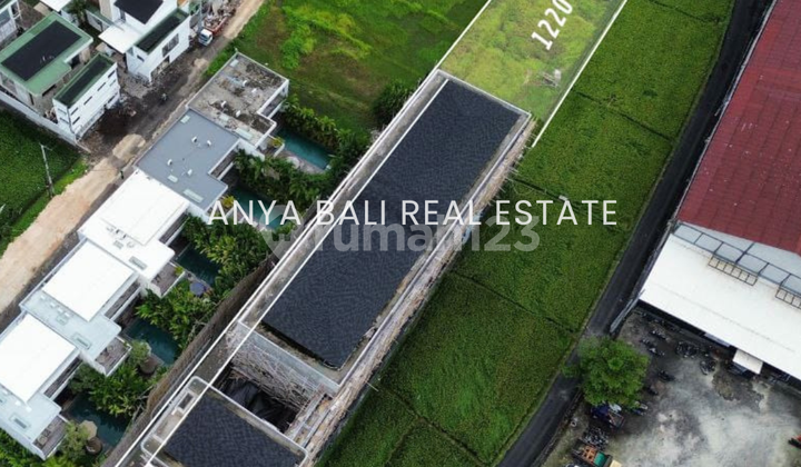 Tanah 12,2 Are Lokasi Berawa Canggu