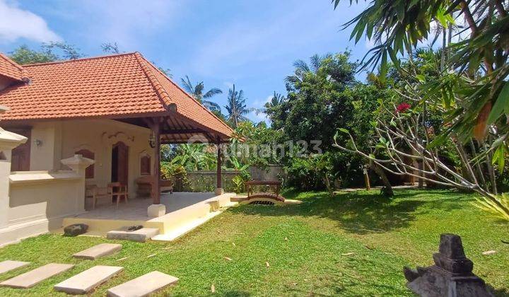 Dijual 3 Bedrooms Villa Besar Dengan View Sawah Dan Jungle di Ubud Gianyar. 2