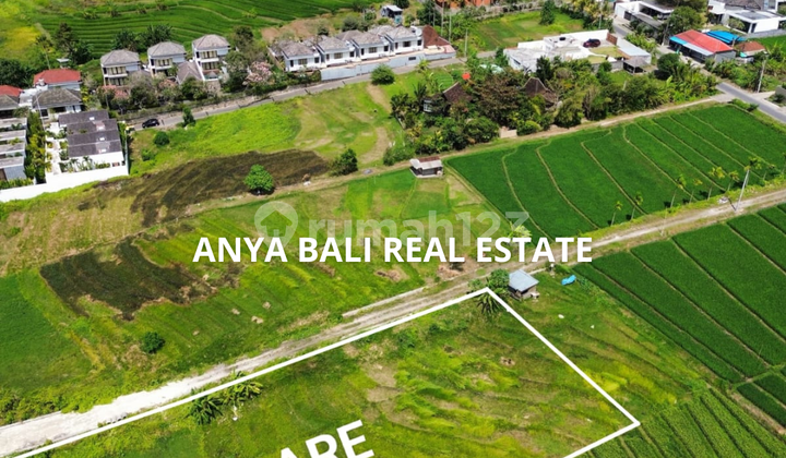 Tanah 18 Are View Sawah Dekat Pantai Nyanyi Tabanan Tanah 18 Are View Sawah Dekat Pantai Nyanyi Tabanan