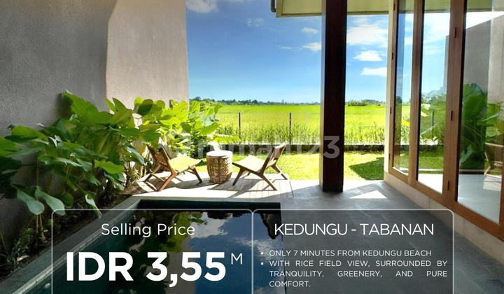 Brand New Beautiful Villa 2 Bedrooms With Ricefield View In Kedungu Tabanan Bali.
