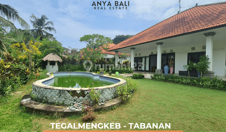 Yearly Rental 3 Bedrooms Villa Furnished Dgn View Pedesaan Lingkungan Villa Di Selemadeg Tabanan 1