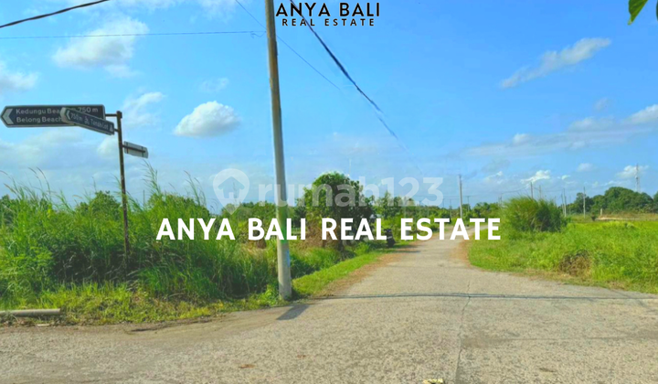 Tanah 5 Are 5 Menit Dekat Pantai Kedungu  2