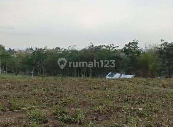 Tanah Luas Cocok Buat Perumahan di Mulyorejo Sukun Malang 2