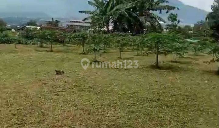 Tanah 5000m2 Nol Jalan Provinsi di Bumiaji Batu Malang Harga Nego 1