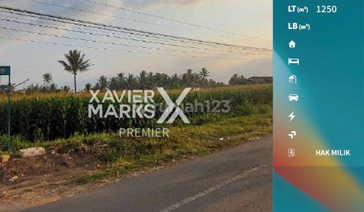 Dicari Pembeli Tanah Luas Strategis di Pandan Ajeng Tumpang 5