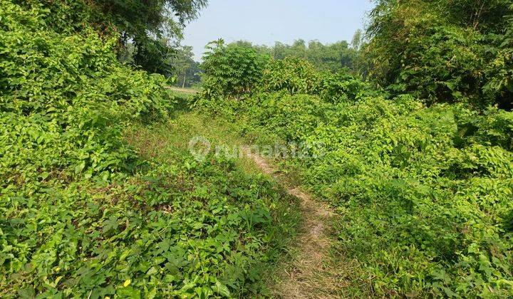 Tanah Dusun Bongsorejo Diwek Jombang Nego Sampai Deal 1