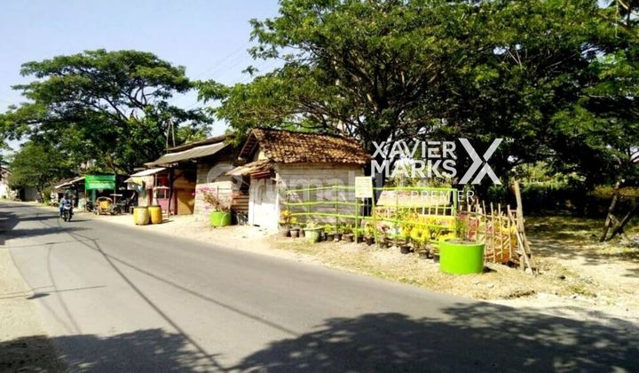 Tanah Luas Strategis Dekat Pelabuhan Asdp Brondong Lamongan 2