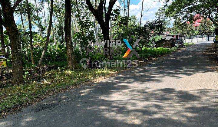 Tanah Bonus 30 Tanaman Jati Siap Panen di Talangagung Kepanjen Malang 2