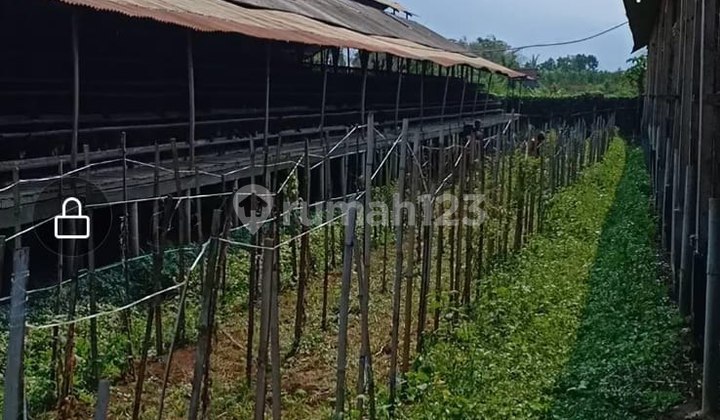 Warehouse Ready to Use in Girimoyo Karangploso Malang