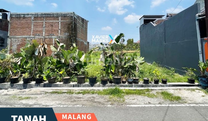 Tanah Strategis Siap Bangun di Teluk Grajakan Pandanwangi Blimbing Malang Tanah Strategis Siap Bangun di Teluk Grajakan Pandanwangi Blimbing Malang