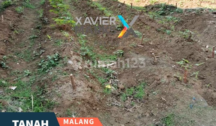 Tanah Siap Bangun di Jalan Anyelir, Tumpang Malang