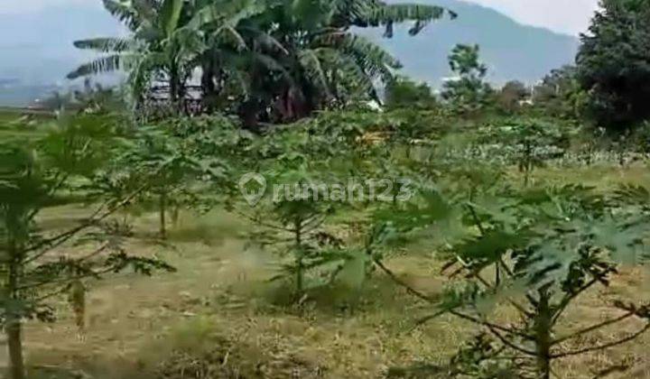 Tanah 5000m2 Nol Jalan Provinsi di Bumiaji Batu Malang Harga Nego 2
