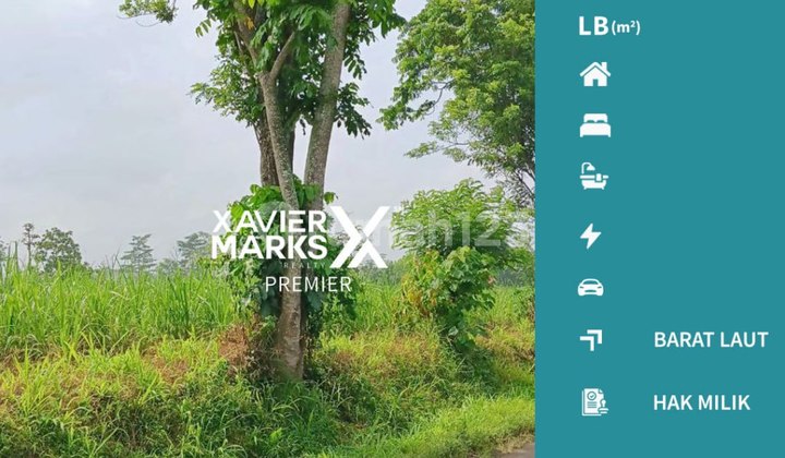 Kavling Cocok Buat Gudang atau Gor di Daerah Pakis Malang