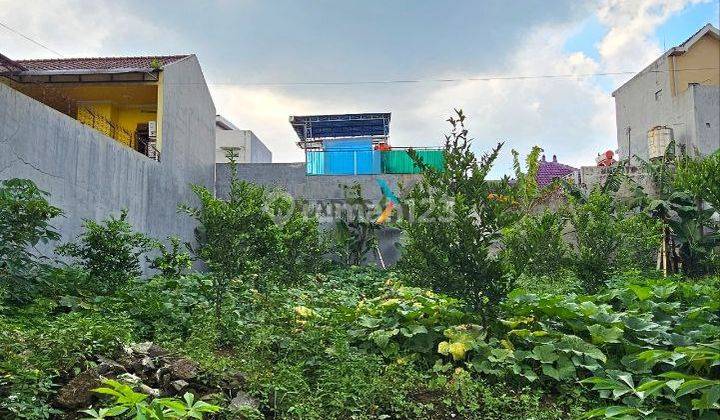 Tanah Kavling 200 m² 5jt Nego di Bukit Cemara Tidar Malang  1