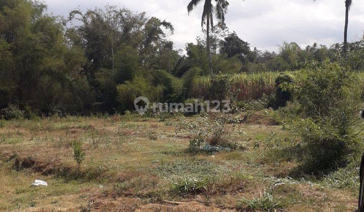 Tanah Luas Prospektif Cocok Buat Perumahan di Wagir Malang 1