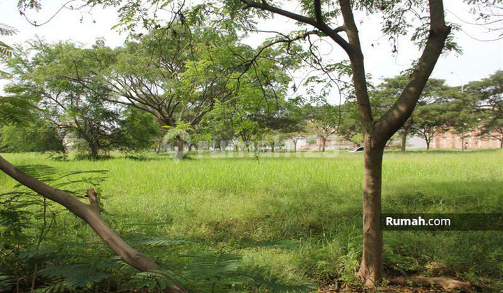 Plot PIK Diamond Golf Exclusive Best Position Plot PIK Diamond Golf Exclusive Best Position