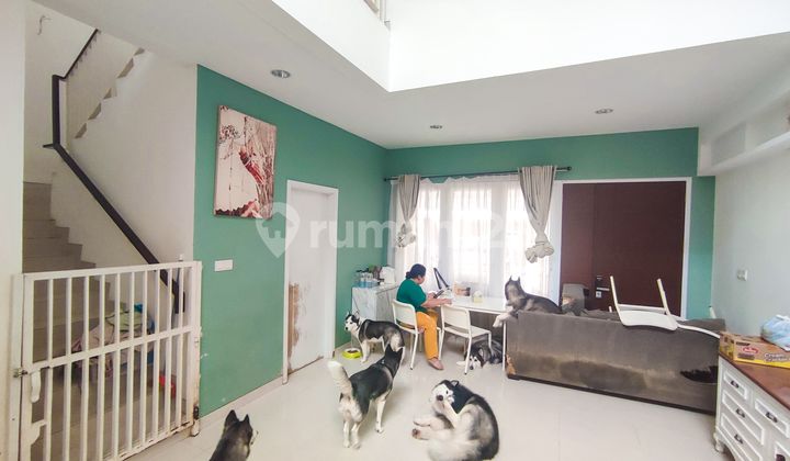 Jual Cepat Rumah Riviera Puri 8x15 Furnished Siap Huni