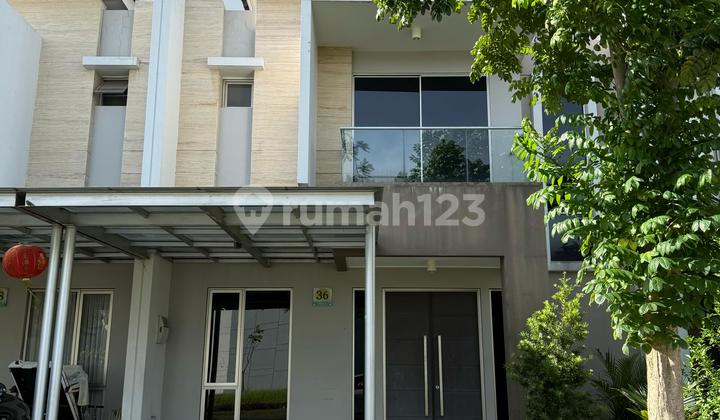 Cheapest Ready-to-Use Golf Island 8x15m House for Rent