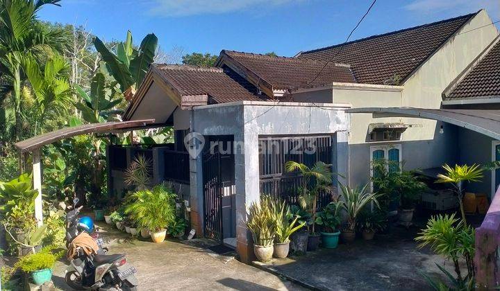 Rumah Minimalis di Tengah Kota 1