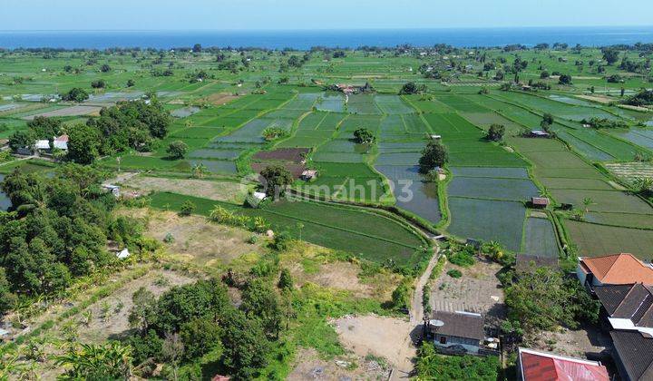 Garden land for sale near Bungkulan Buleleng Beach 1