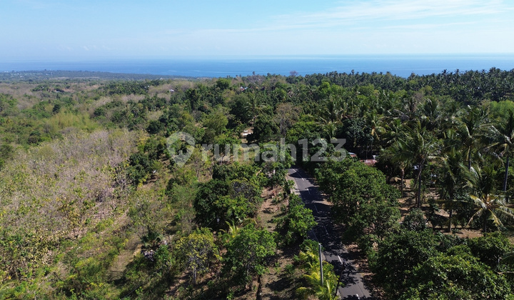 Dijual Tanah View Laut di Kubutambahan Buleleng