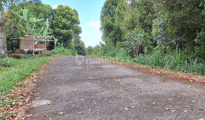 Tanah Dengan View Laut di Tigawasa Buleleng 2