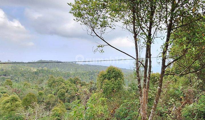 Tanah Dengan View Laut di Tigawasa Buleleng 1