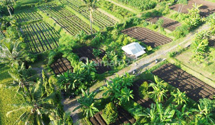 2 Are plot of land Jalan Srikandi Sambangan 2