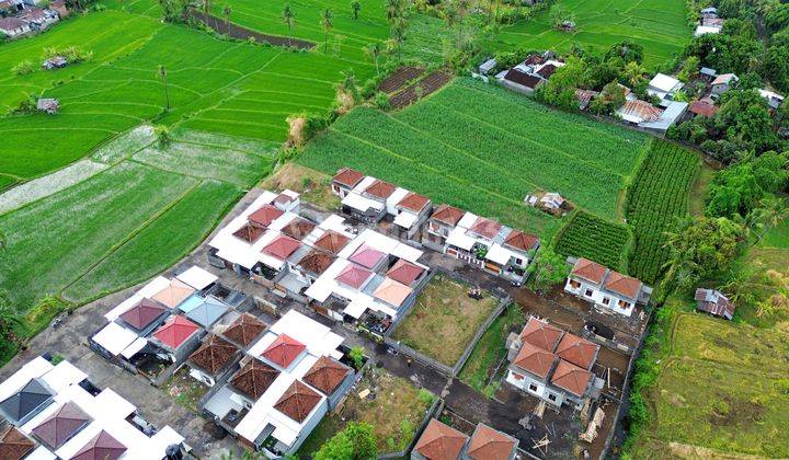 Land Plot for Sale in the Nice Area of Panji Bangah Village 1