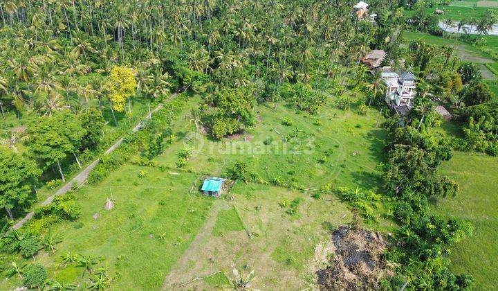 Dijual Tanah Kawasan Villa Desa Kaliasem Lovina 2