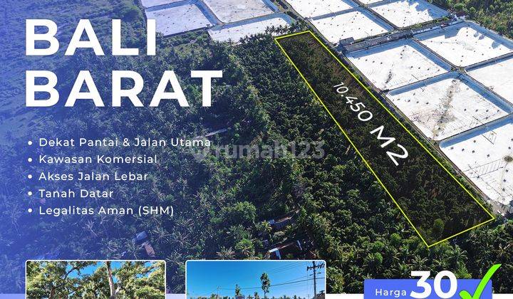 Dijual Tanah Kebun Dekat Pantai Gerokgak Buleleng 1