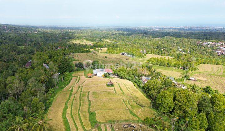 Dijual Villa Dengan Sawah Pribadi di Buleleng 1