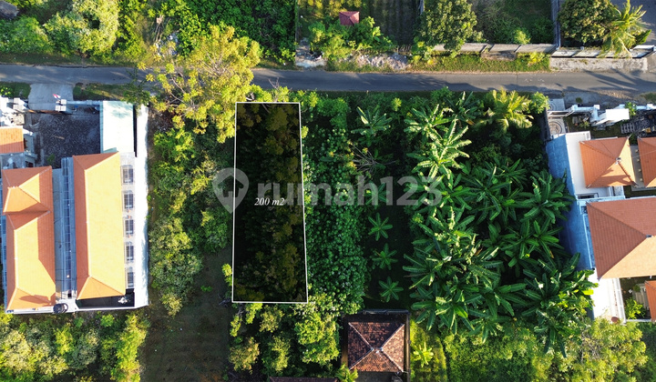 For Sale: Land Plot in LC Baktiseraga Buleleng Area For Sale: Land Plot in LC Baktiseraga Buleleng Area