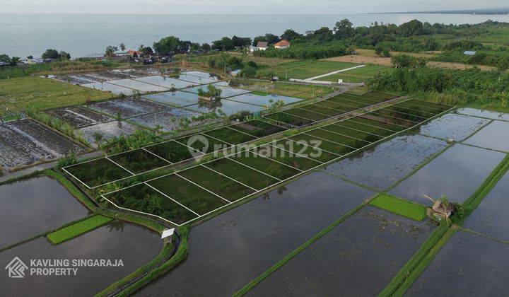 Tanah Kavling View Sawah Dekat Pantai di Seririt