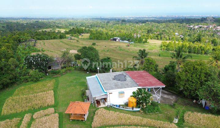 Dijual Villa Dengan Sawah Pribadi di Buleleng 2