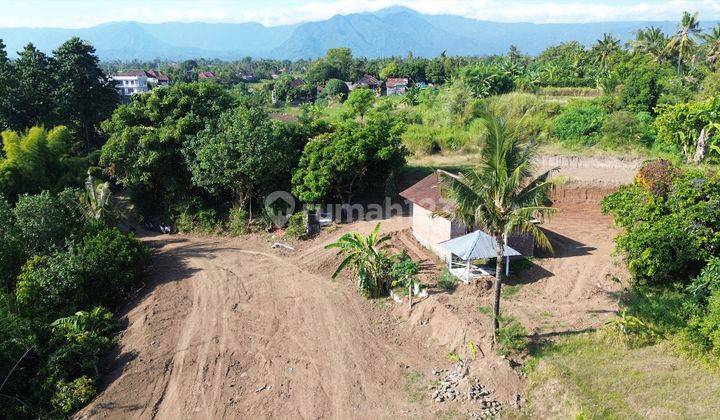 Dijual Tanah Kebun di Desa Sangsit Buleleng 2