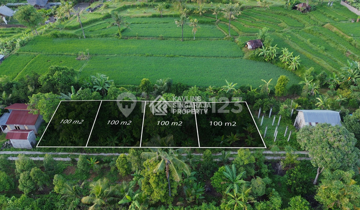 Tanah Kavling 1 Are di Sambangan Buleleng 1